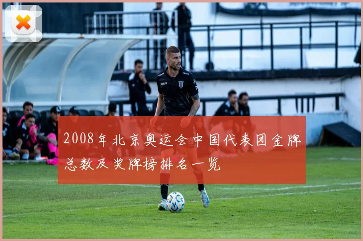 2008年北京奥运会中国代表团金牌总数及奖牌榜排名一览