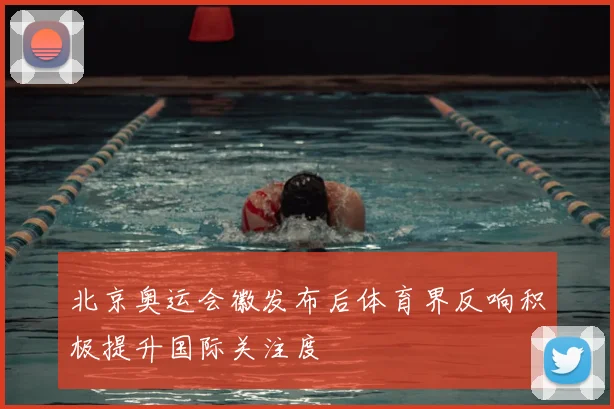 北京奥运会徽发布后体育界反响积极提升国际关注度